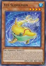 Xyz Slidolphin - DANE-EN023 -
