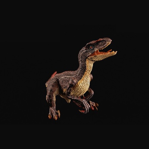 Rebor velociraptor couple - rebor,