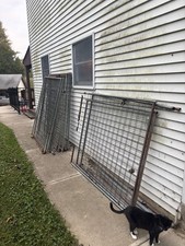 Dog Fence