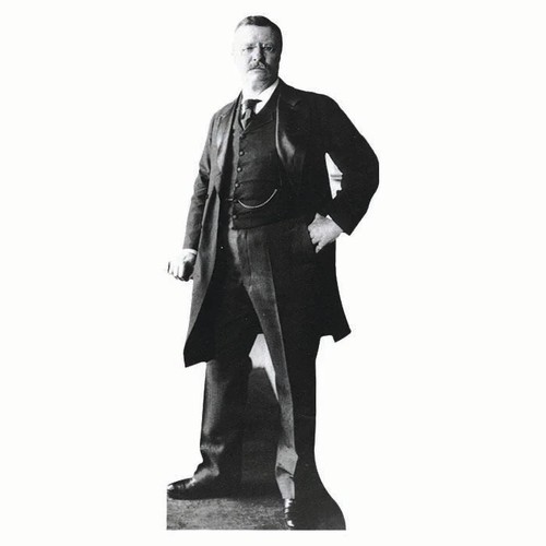 Theodore roosevelt life size - theodore,