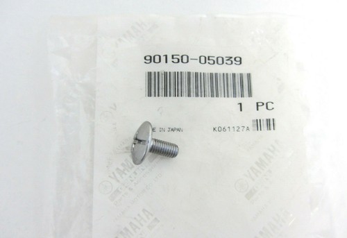 Screw brush rear fairing/screw