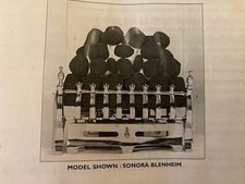 Senora Blenheim DGF gas fire