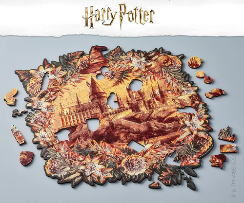 Hogwarts castle romance - hogwarts,