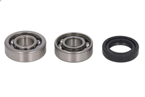 Balancing shaft bearing - , hot