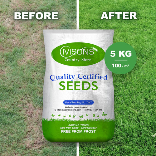 5kg premium back - premium,