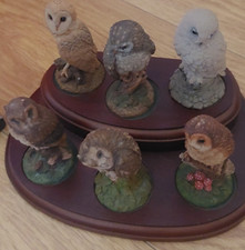 Royal Doulton Set Of 6 Owls With Wooden Display Stand