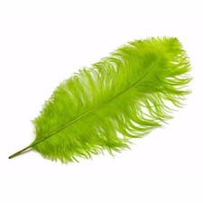 Ostrich Feathers - Lime Green