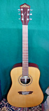 Washburn  D42S acoustic guitar- Ritter hardcase - Right hand - lovely to play