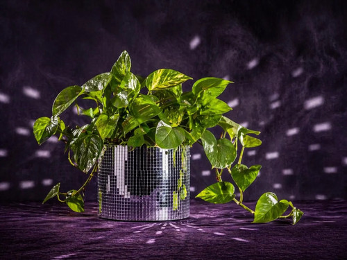 Disco ball planter mirror - ball,