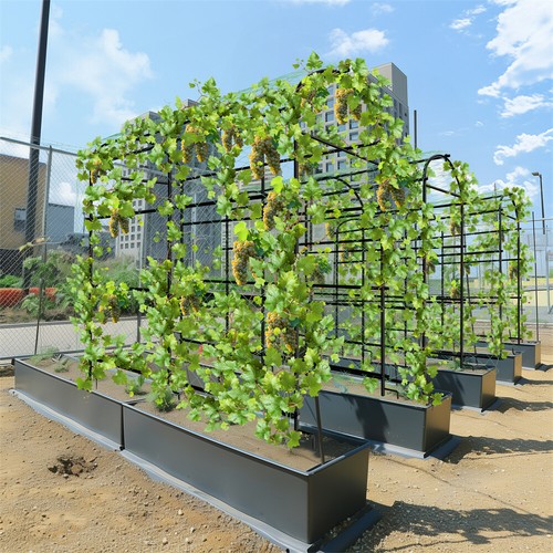 Xxl garden arch trellis - arch,