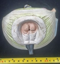 RARE EROTIC Bottoms Up  GEISHA