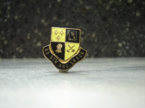 Vintage enamel pin - pin, lapel