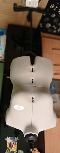 Celine female model - fo/model, dress