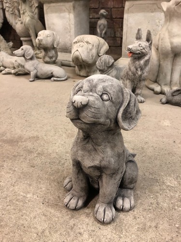 Labrador puppy dog - dog, garden