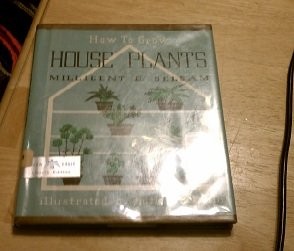 How grow house - house, plants