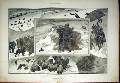 Original old antique print - old,
