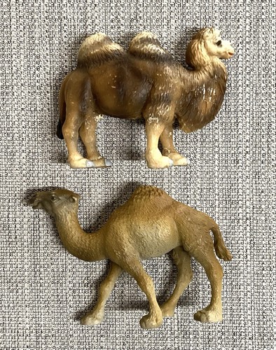 Schleich bactrian blue - schleich, dot