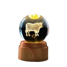Crystal LED Globe Lamp