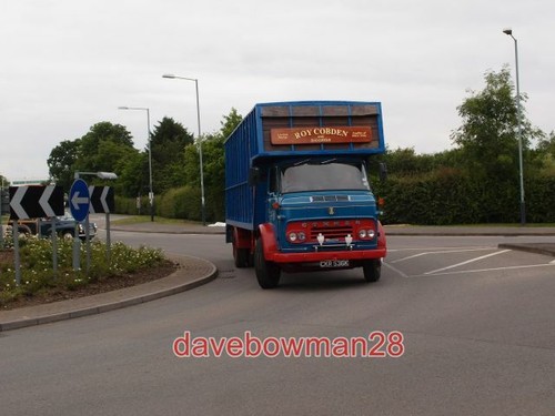 Photo commer livestock - photo,