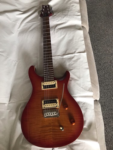 Prs custom with trem - custom,