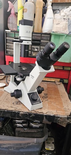 Olympus microscope ck30 - microscope,