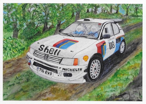 Peugeot 205 rally - , car