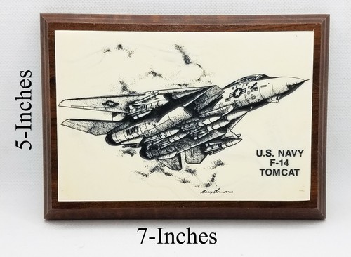 Tomcat navy fighter - navy,