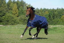 Bucas Irish Light Turnout 50g