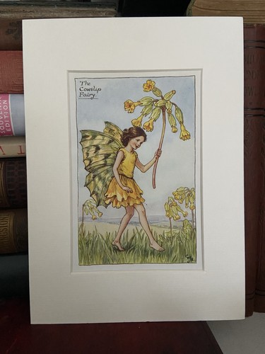 Cowslip flower fairy - ‘cowslip’,