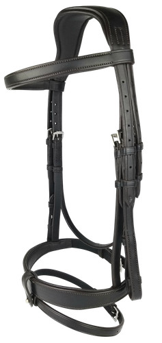 Ecorider classic show - classic,
