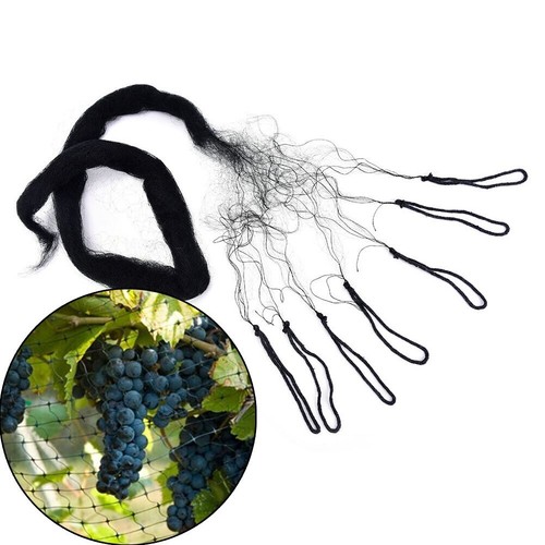 Anti bird catcher netting - bird, pond