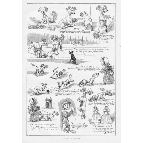 Louis wain the tragic story - the,