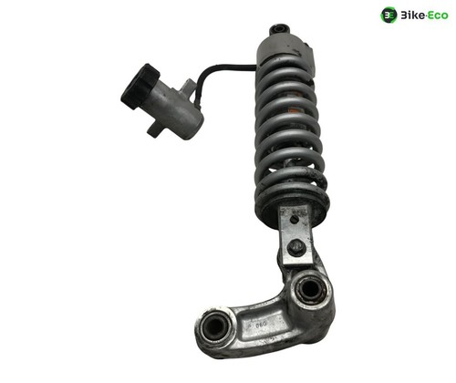Kawasaki klv 1000 shock - kawasaki,