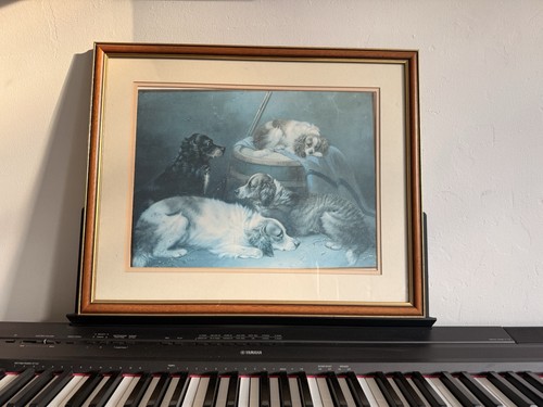 Vintage framed lithograph - framed,