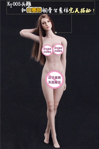 Tbleague phicen female - phicen, 1/6