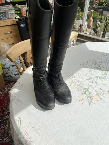 Ariat boots - ariat,