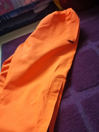 Pairs orange viz work - 2,