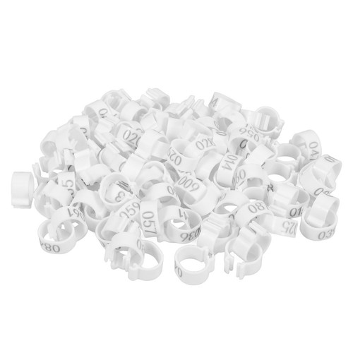 100 pcs homing pigeon - 100,