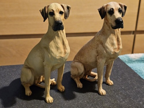 Pair great dane dog - pair, of