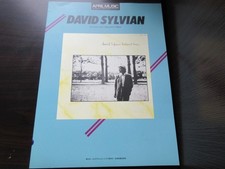 David Sylvian