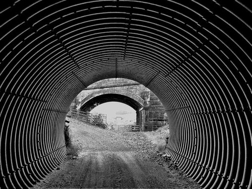 Photo 6x4 darvel - 6x4, and