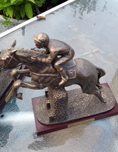 Desert orchid horse racing - desert,