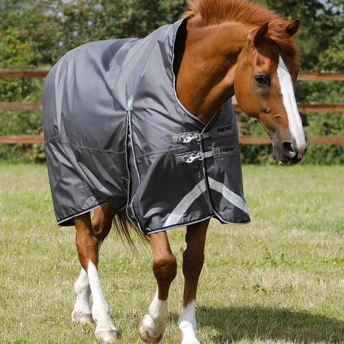 Premier equine buster - buster, hardy