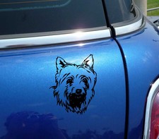 SILKY TERRIER HEAD PORTRAIT