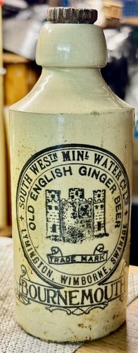 1900 pictorial ginger beer - ginger,