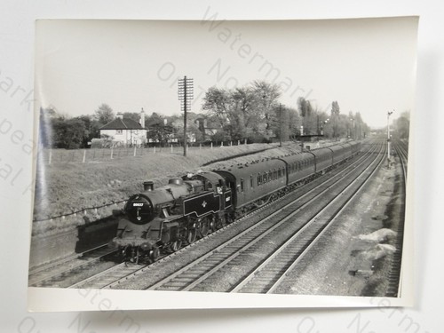 Steam train loco - train,