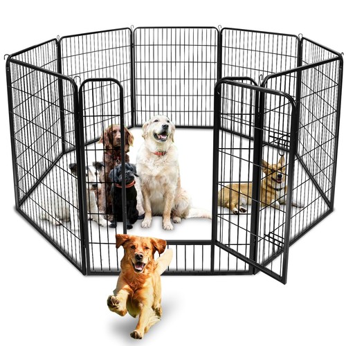Detachable safety for pet - 39"h,