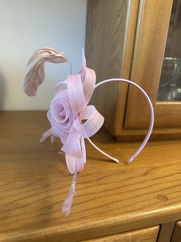 Ladies pink feather beak - feather, clip