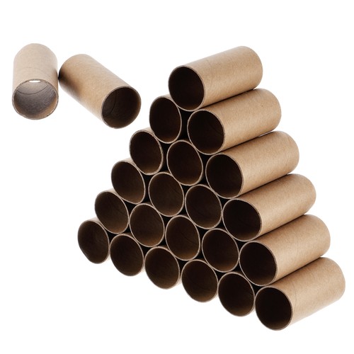 100 pack cardboard tubes - 100,