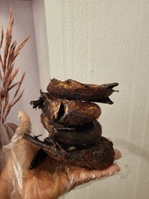 200g Of Well Dried Barracuda